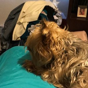 Meet your Posher, Jennifer